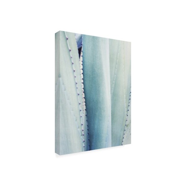 Lupen Grainne 'Pale Blue Agave No. 3' Canvas Art,24x32